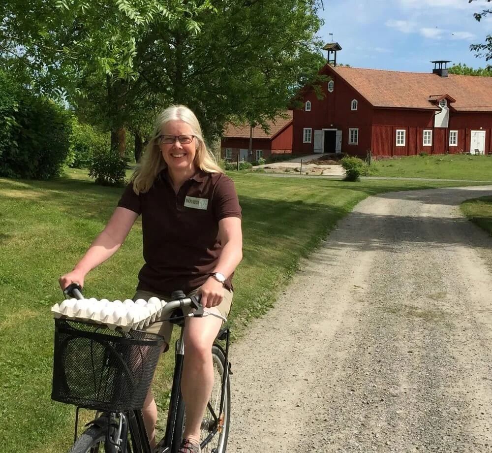 Besök oss på gården och handla färska ägg direkt i vår butik.