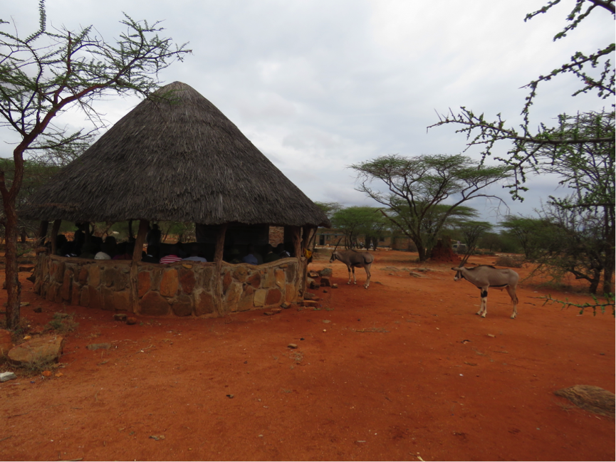 Kalama HQ's resident oryx also attended the meeting, although they were probably slightly less keen on carnivore conservation!