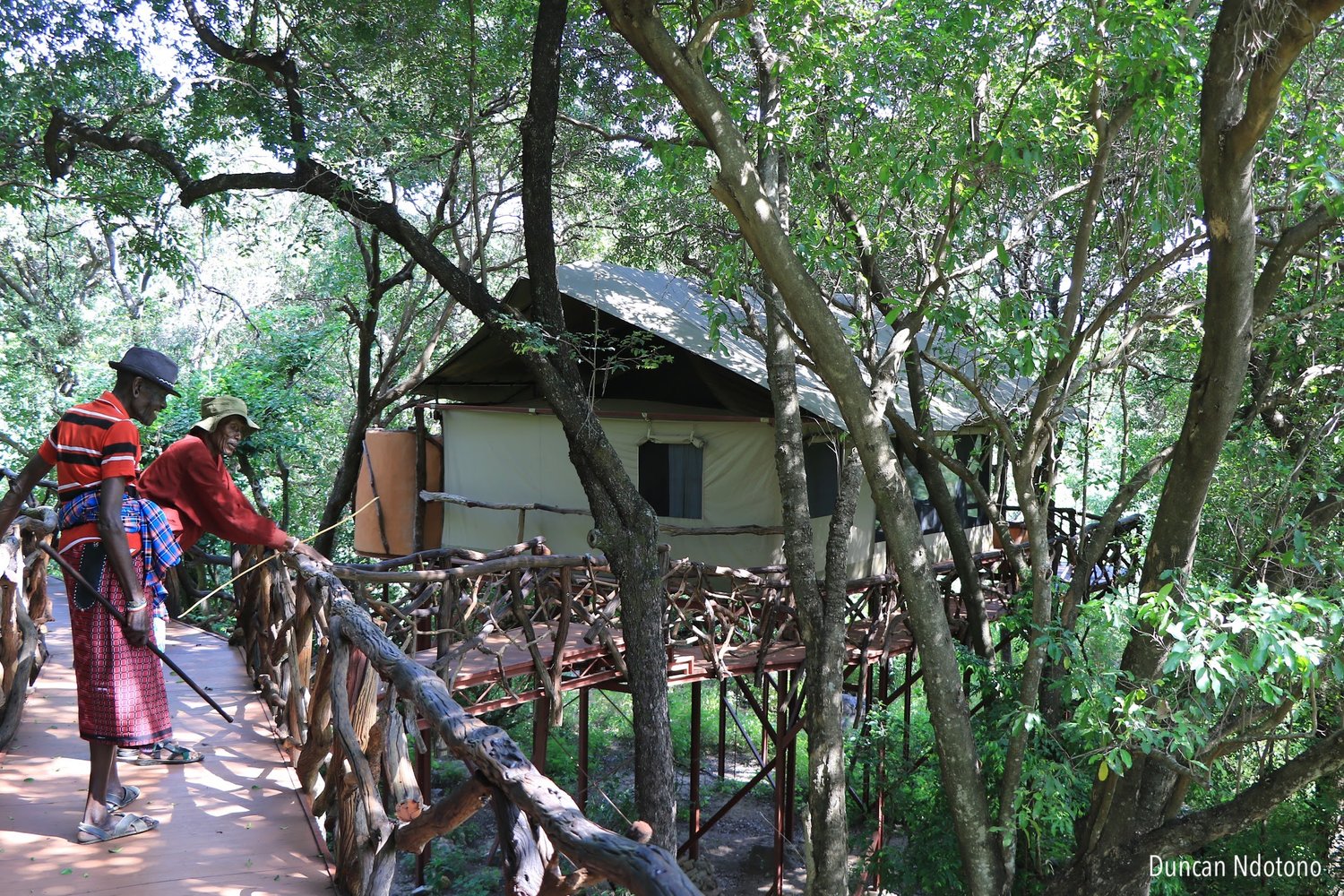 The Rhino Boma is made up of eight tree houses and is able to host 16 guests 