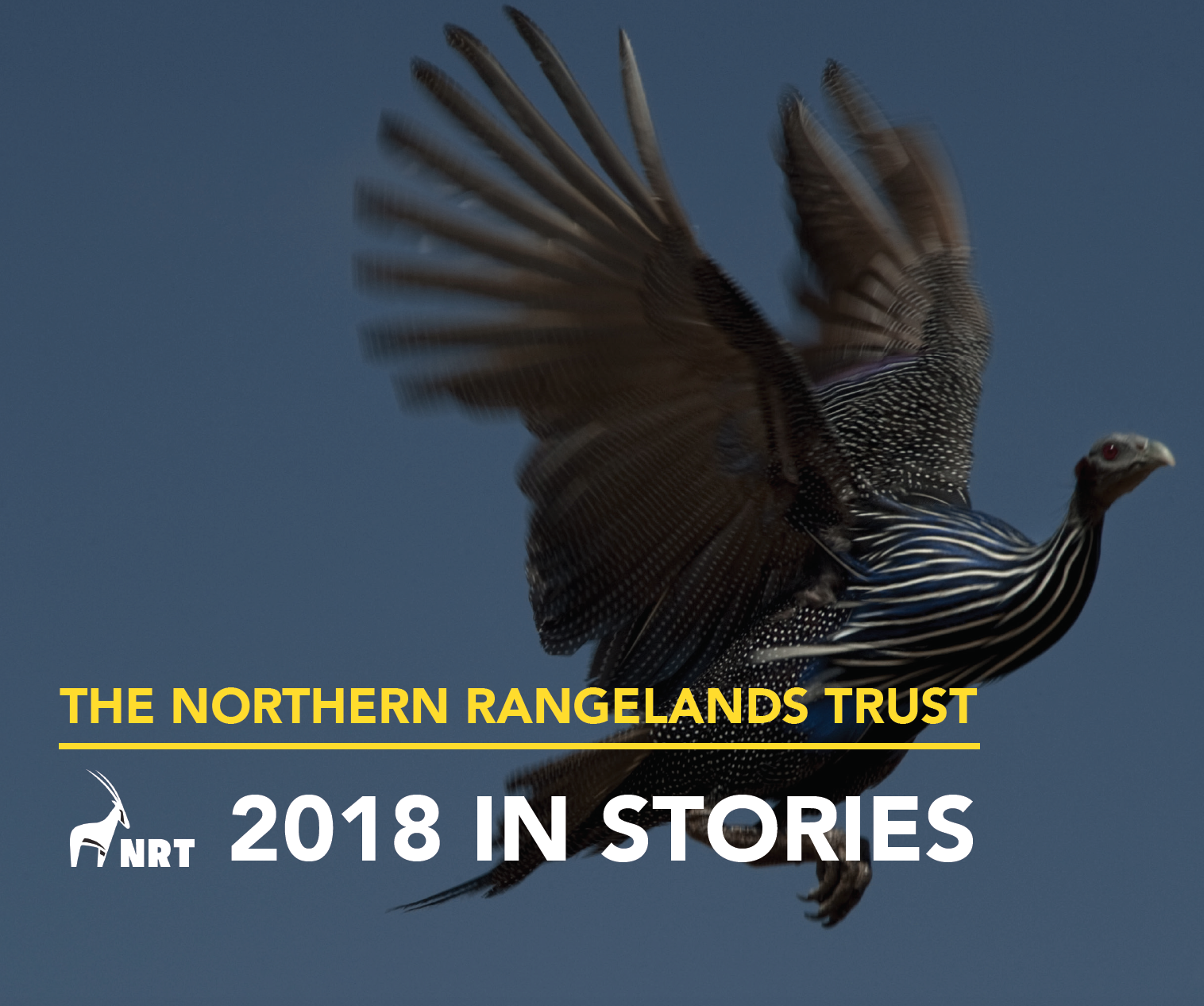2018: Stories from the Northern Rangelands 