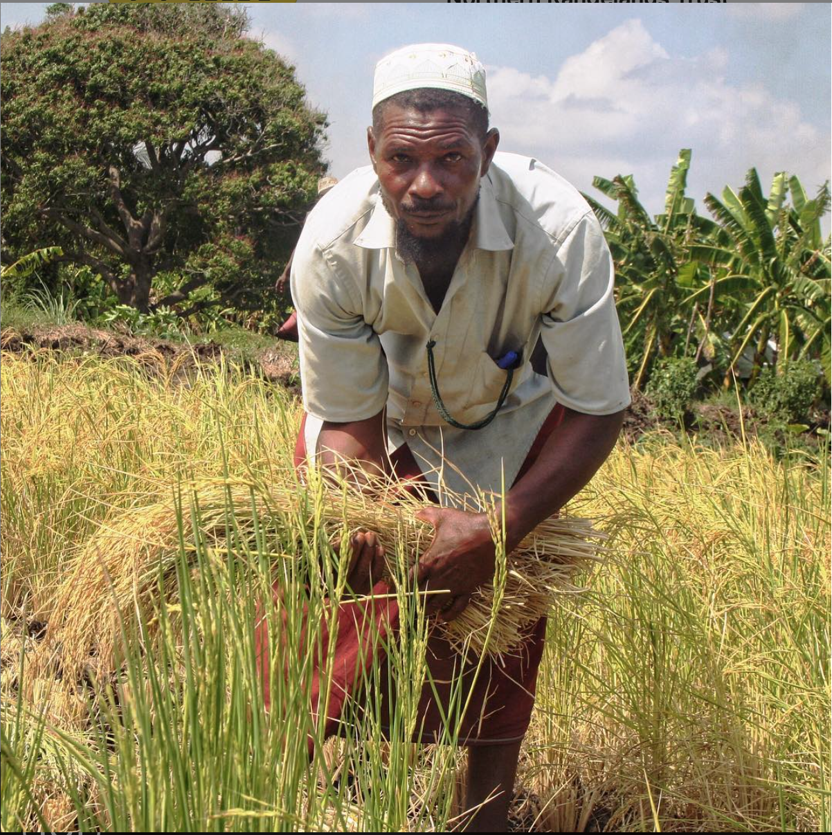 #10Morans: A Farmer's Fortunes