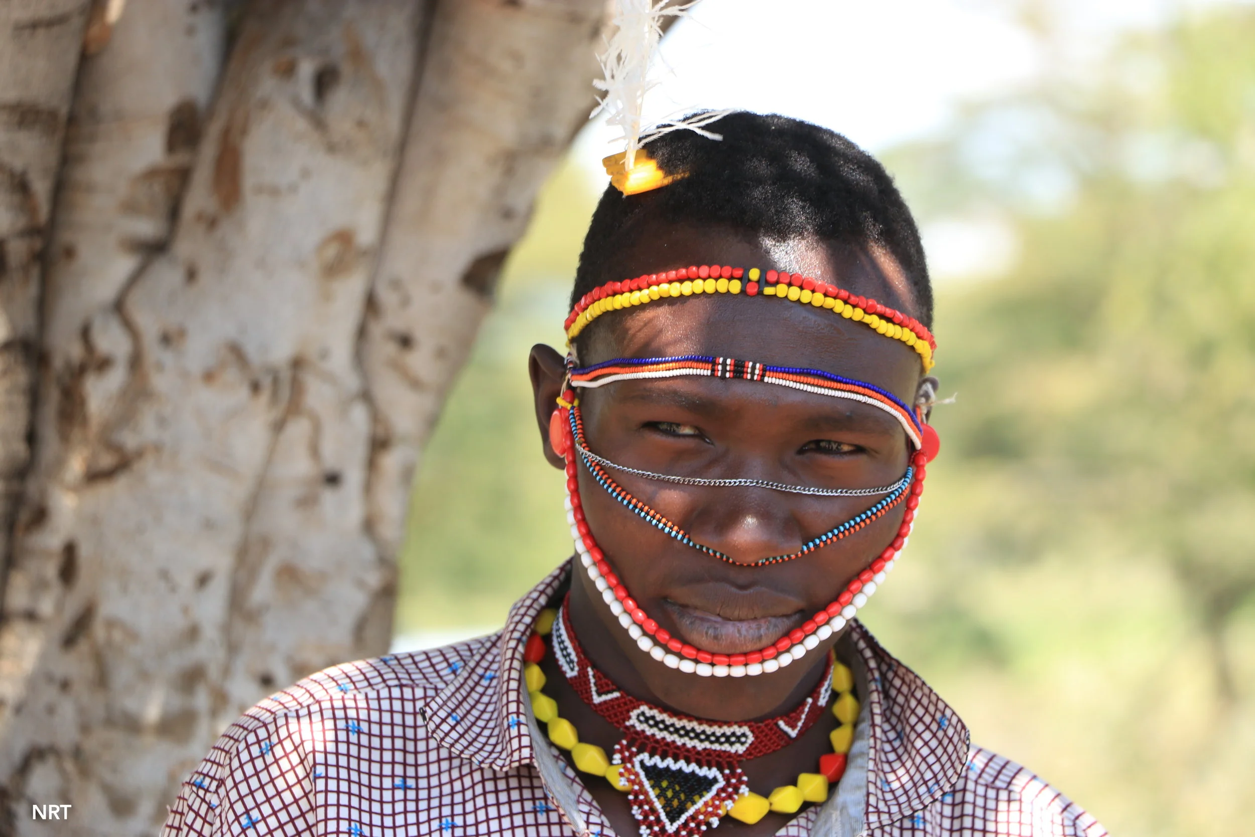 #10Morans; Meet Tree Champion Lokeno