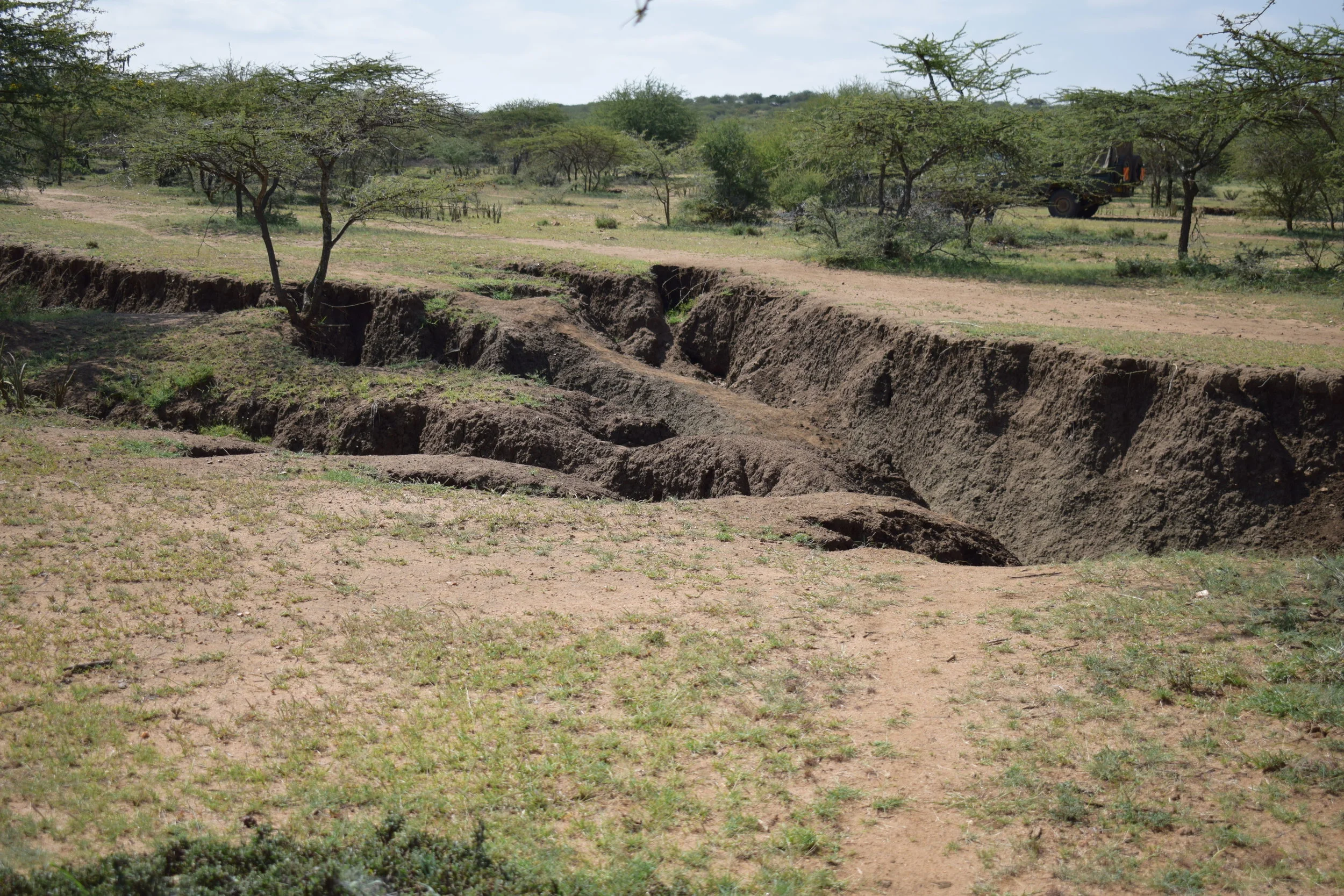 Rangelands Rehabilitation in Naibunga 