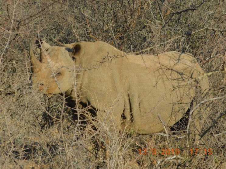 New mother, Nariku Sera.