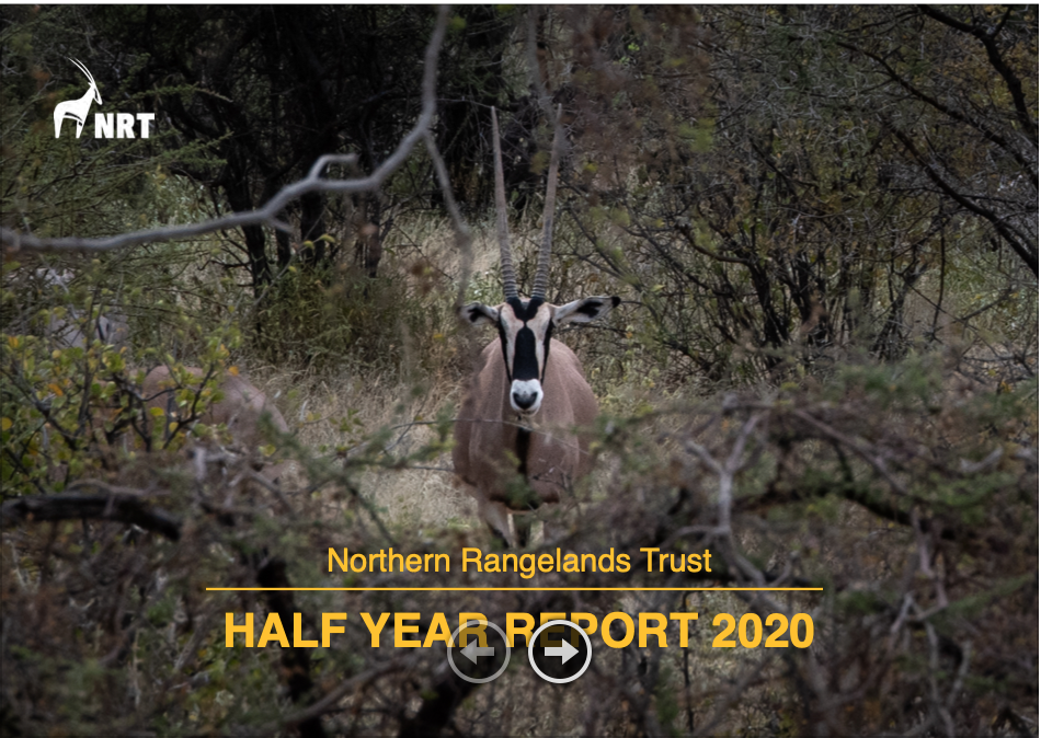 Half Year Report 2020