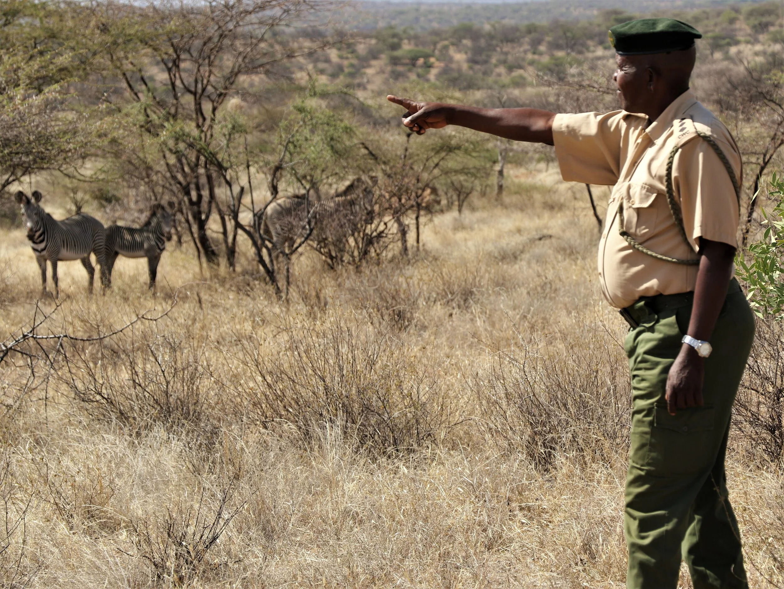 #10Guardians; Grevy's Zebra Champion Stephen Lenantoiye