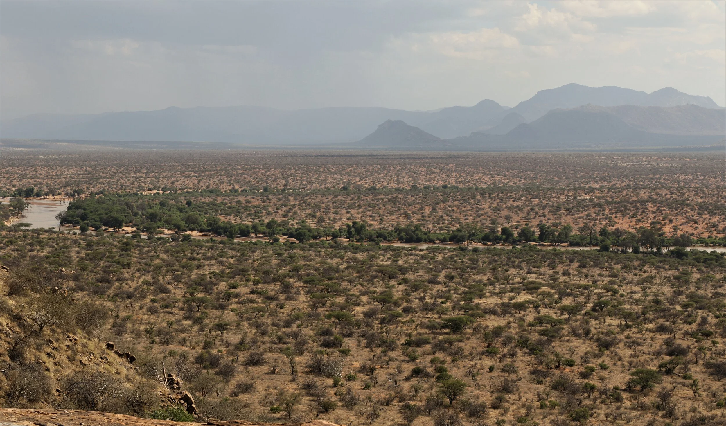 16 Years of Conservation; Westgate Community Conservancy