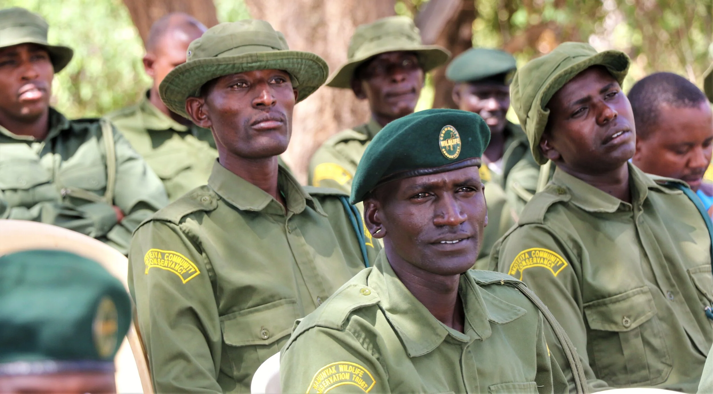 Celebrating 2020 Wildlife Champions!