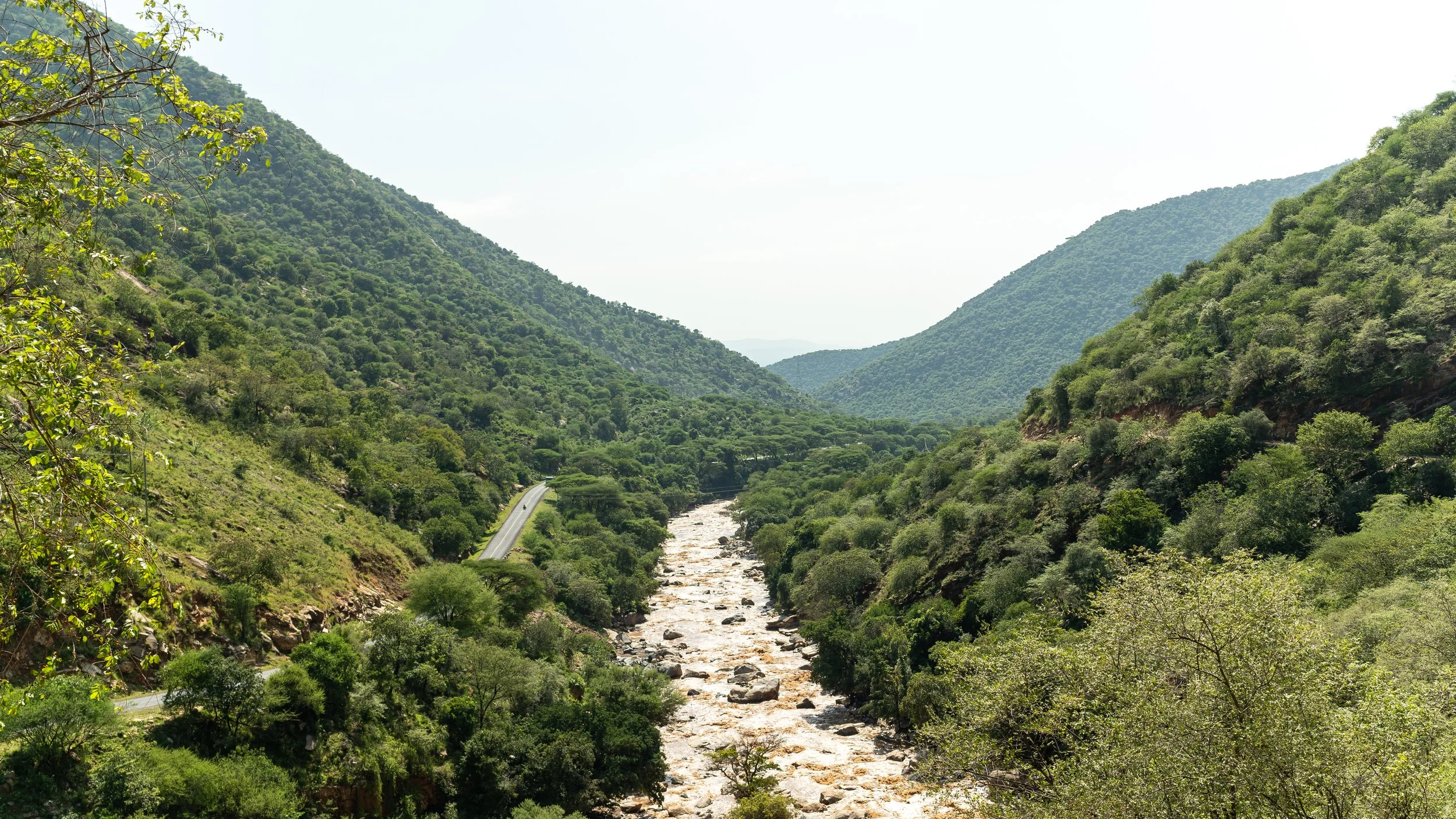 World Environment Day: 8 Ways NRT Member Conservancies Are Protecting the Environment