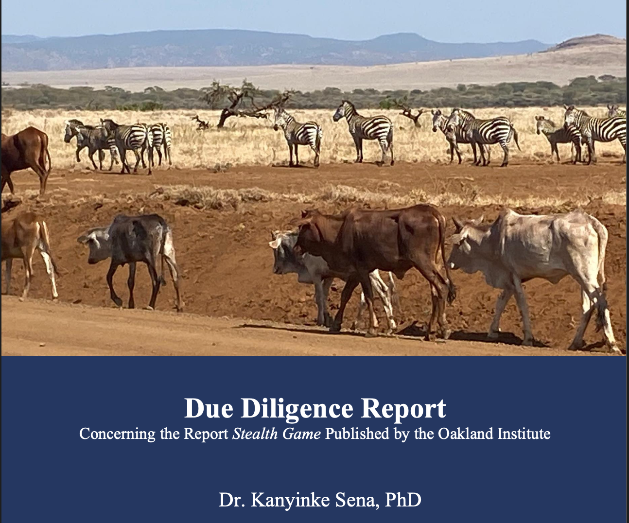 NRT Statement on Key Findings and Recommendations from Due Diligence Report