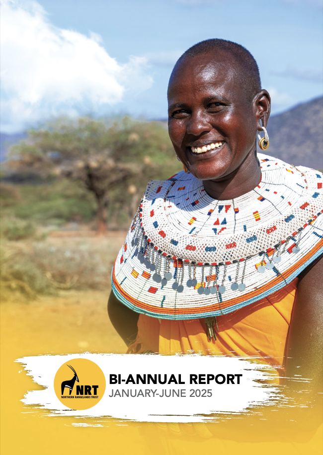 NRT 2025 Bi-Annual Report