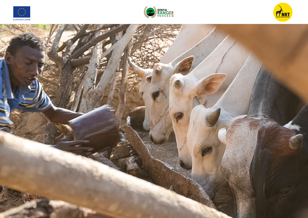 Flow of Hope: Transforming Lives in Remote Baringo County through ...