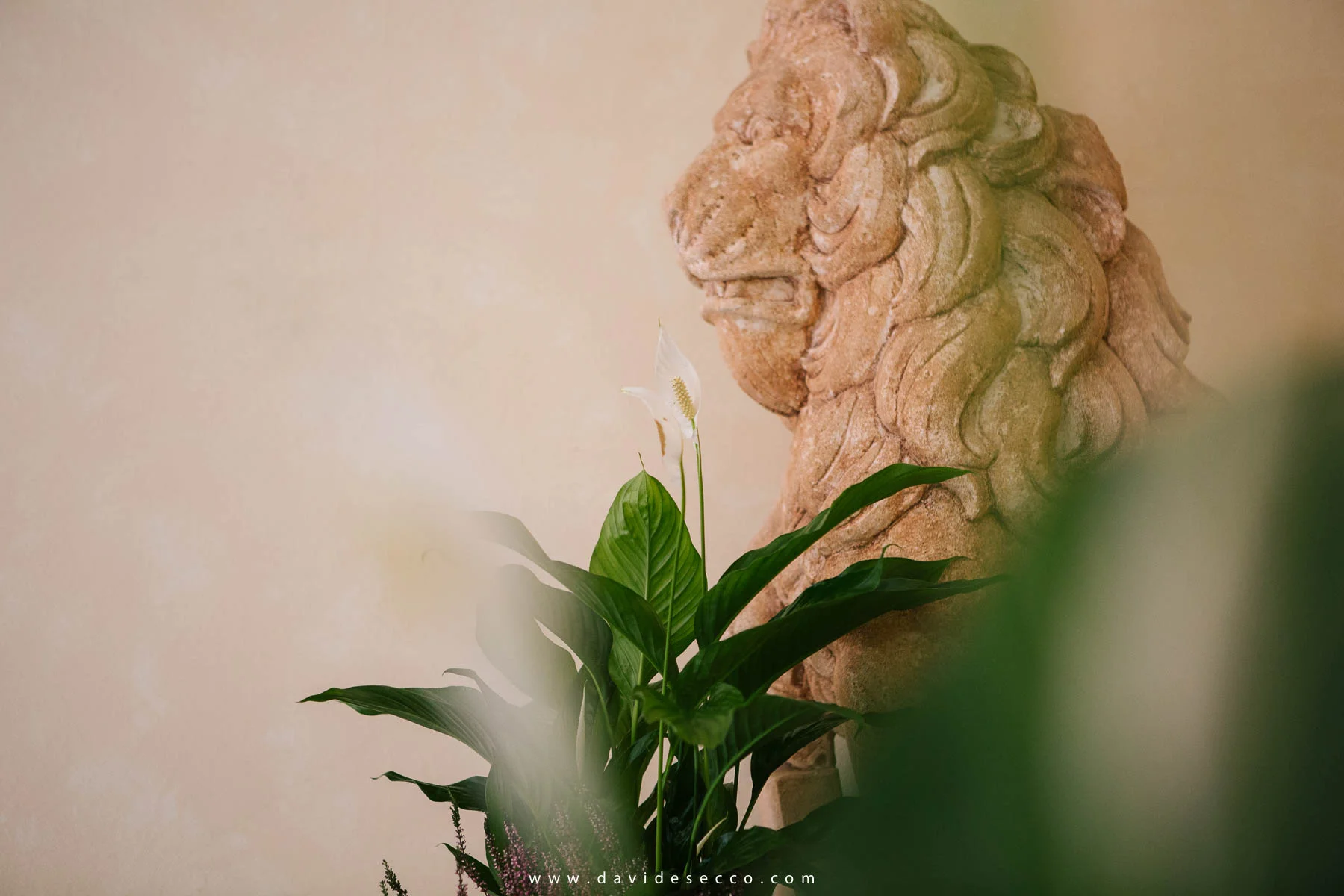 Paolo e Stefano-159.jpg
