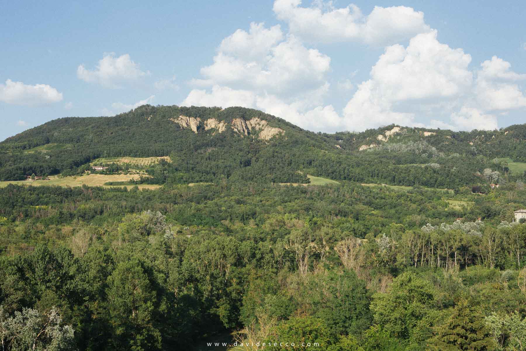 _22A2828.jpg