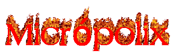 micropolis.gif