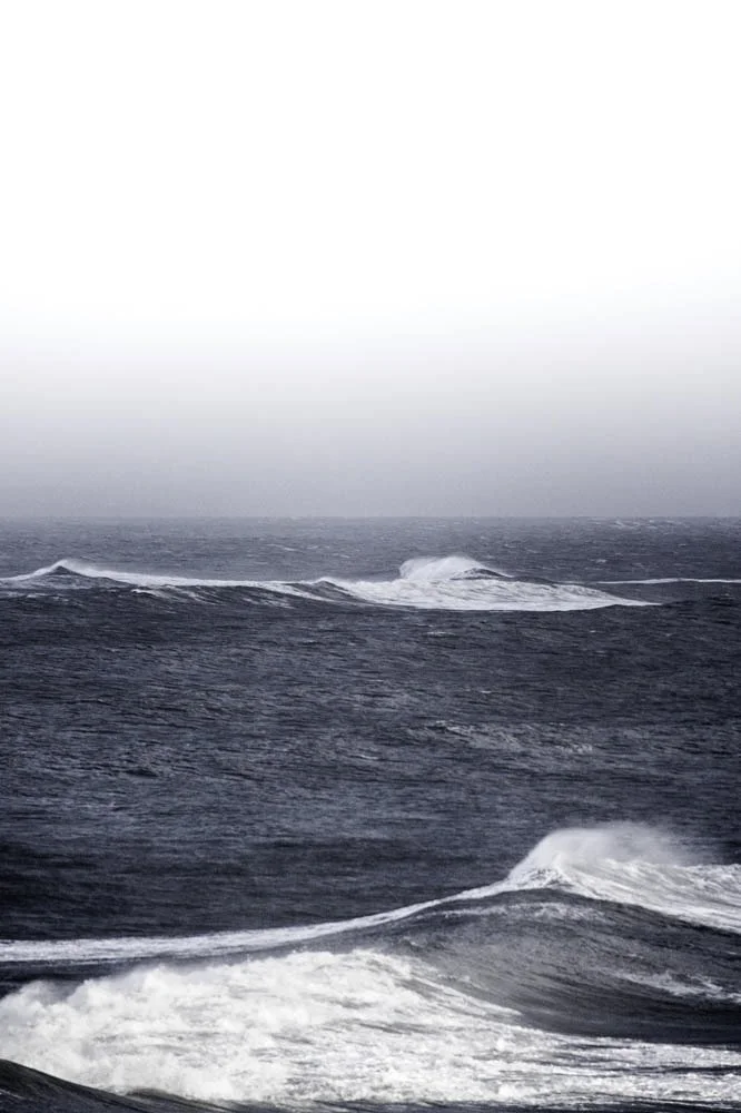 Storm Shelter - Feel The Wind