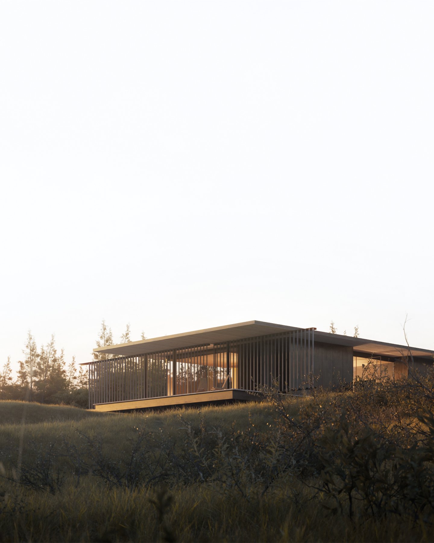 Golden Light at Black Swan House, Ayrshire, Scotland. 

From the reservoir, the home sits within the grassed, retaining landscape. Sliding cedar screens draw back to open the rooms to wide, panoramic views across the lakeside. As the light falls, the