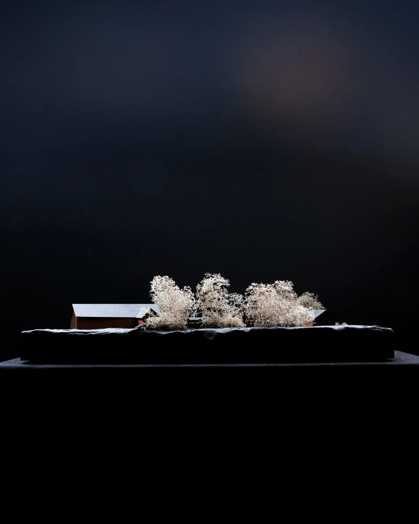 A very special project from out west.