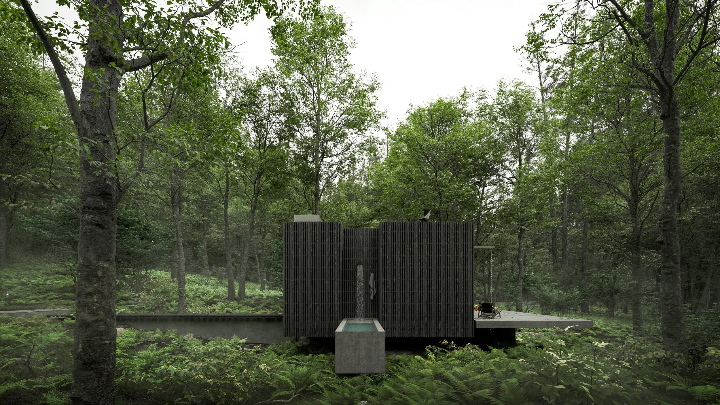 Side elevation of Thinking Cube with concrete plunge pool and timber screen, surrounded by woodland.