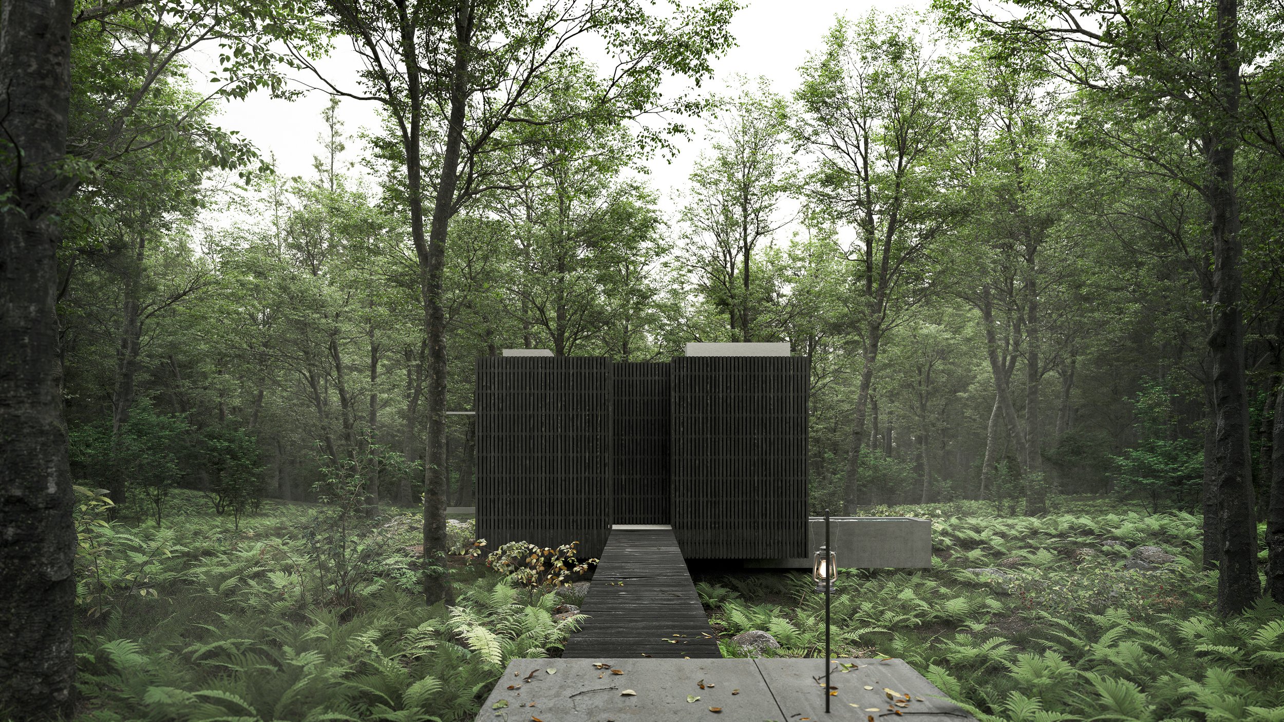 Approach to Thinking Cube via narrow blackened timber walkway, flanked by forest and ferns.