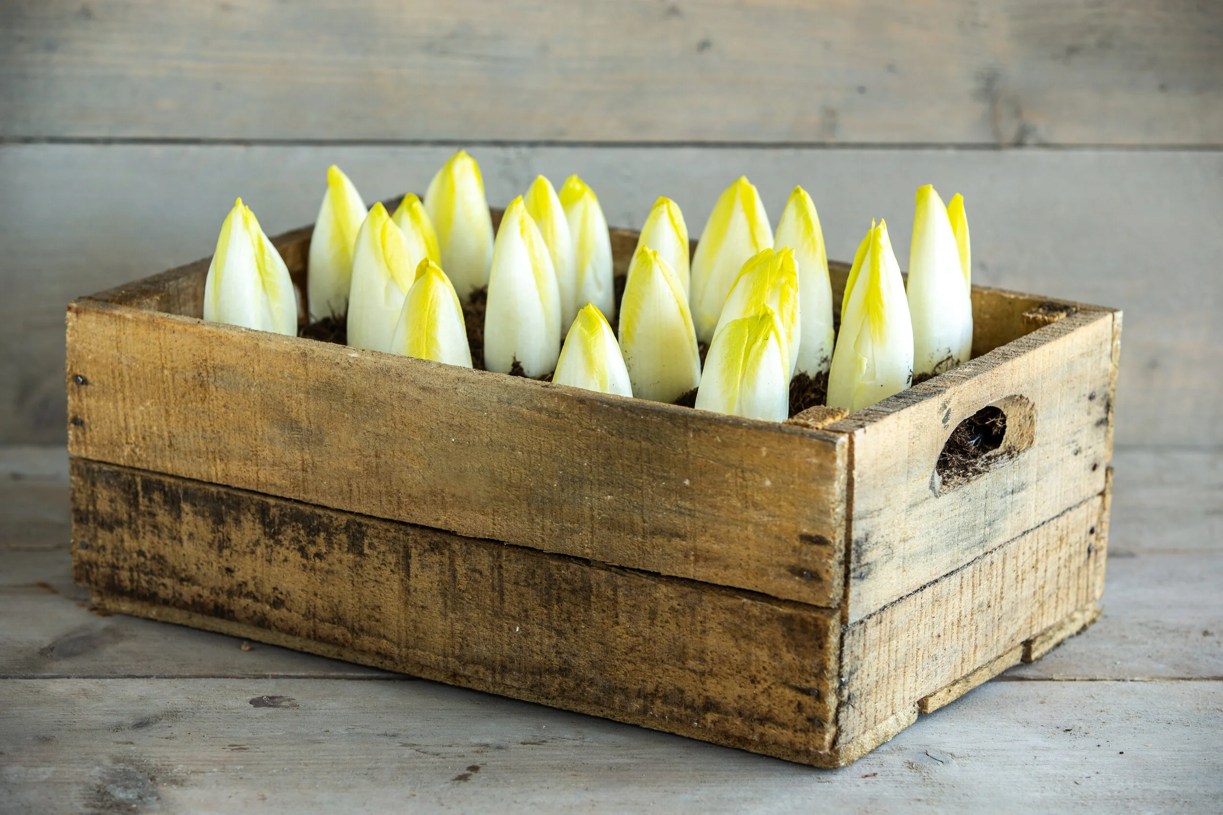 Made in Antwerp produce 10.jpg