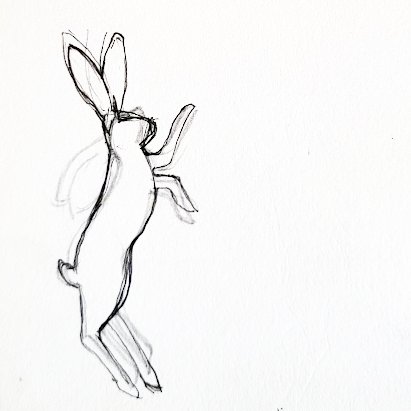 hare sketch 2.jpg