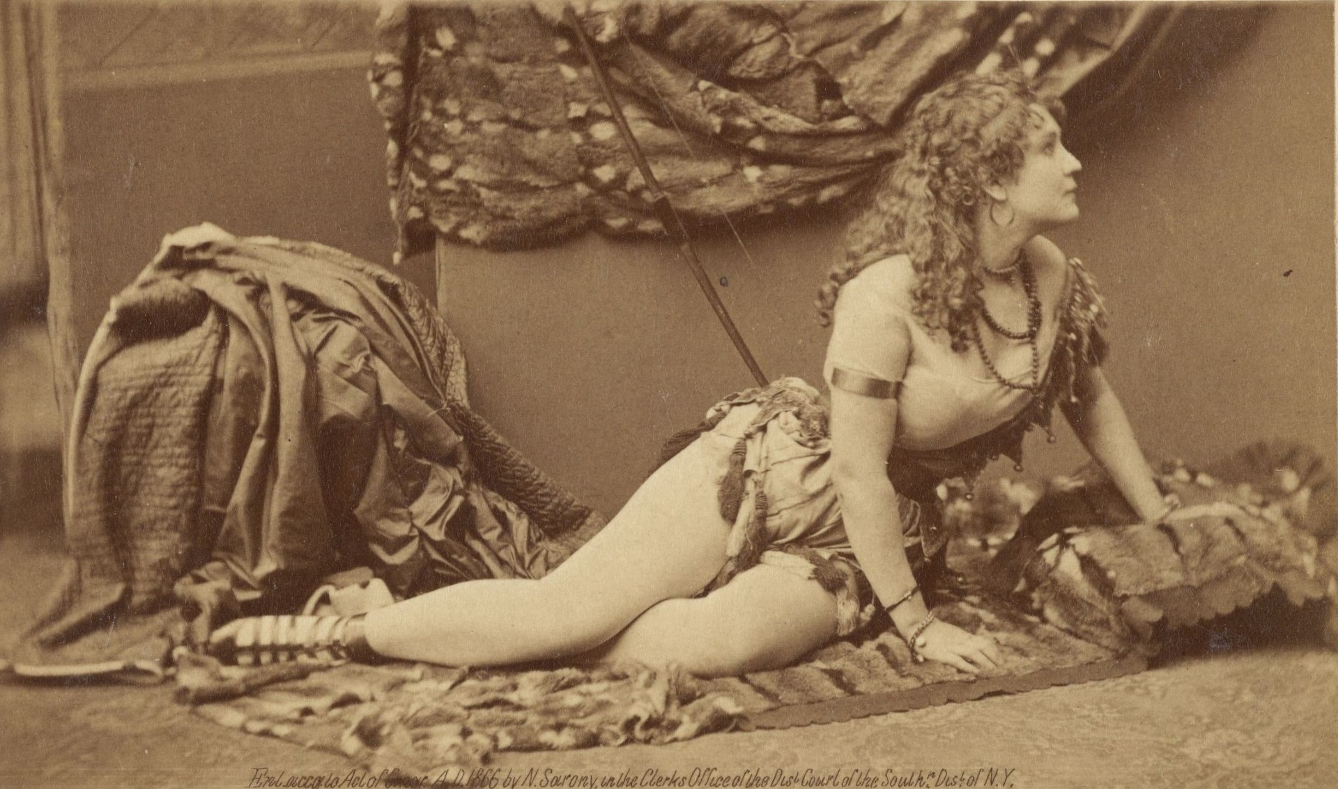 Public Women: Sex in 19th-century America â€” The Exploress