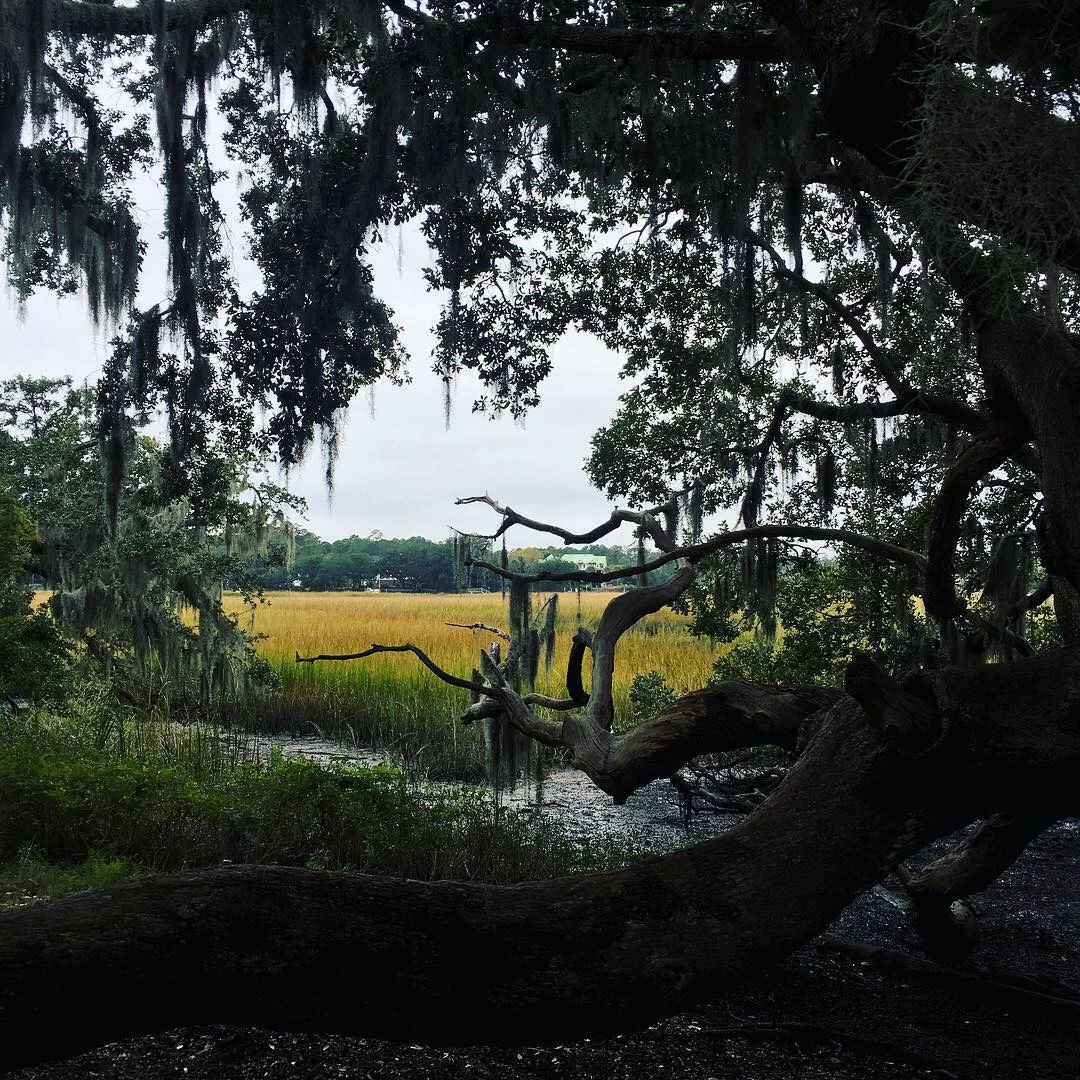  The enslaved got some food, but it wasn’t often enough to meet their caloric and health needs. So they grew their own gardens, when they could, and went hunting and fishing. All of this, of course, in their scant “leisure time”. 