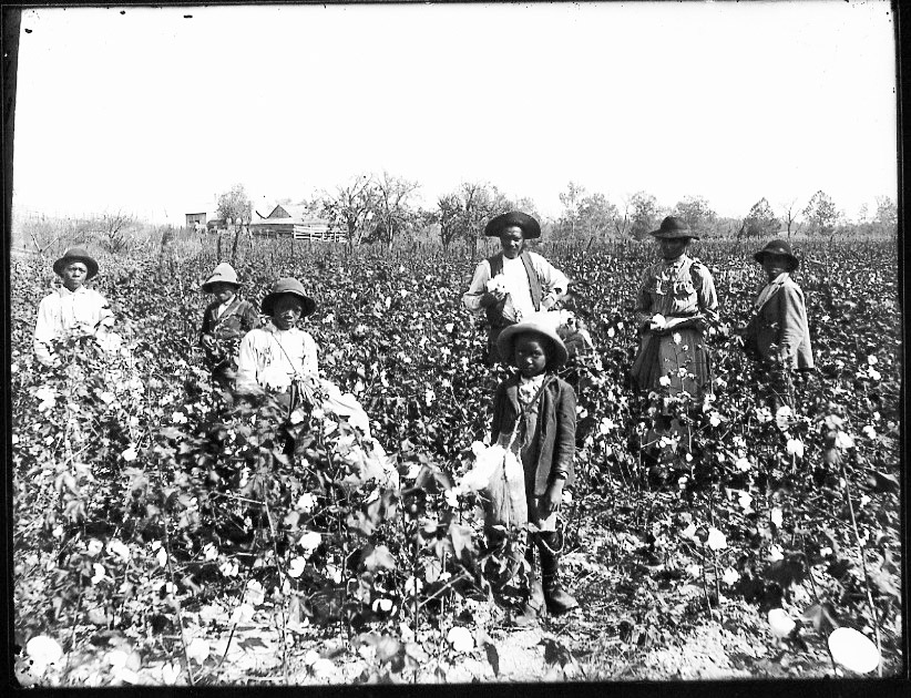  This photo, taken around 1890, gives a small glimpse into how grueling picking cotton all day would have been.   Wikicommons  