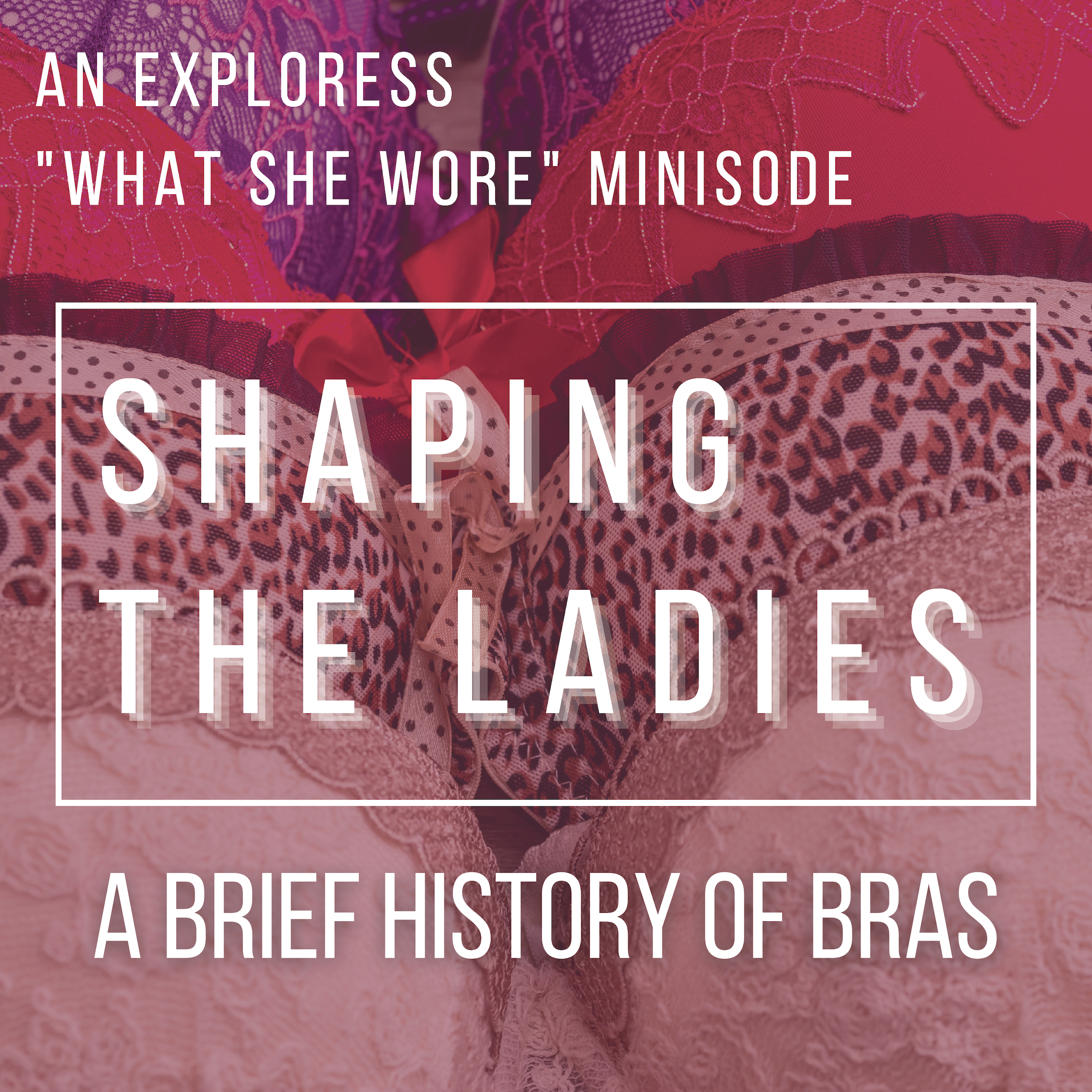 Shaping the Ladies: A Brief History of the Bra