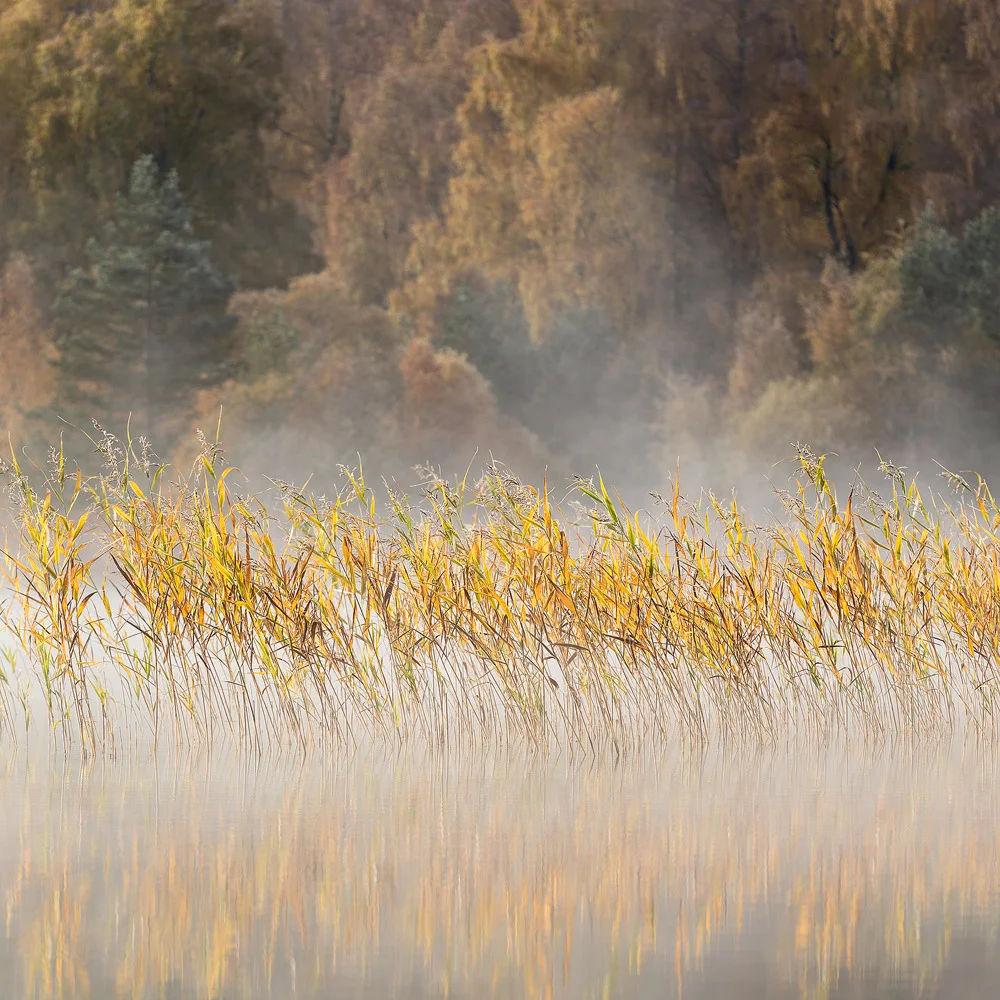 loch-pityoulish-cairngorms-scotland-autumn-1.jpg
