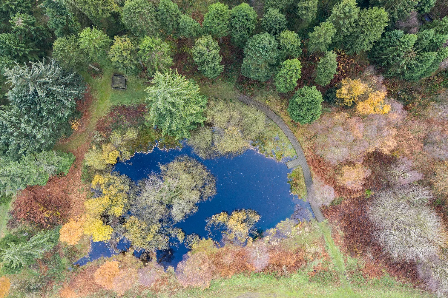 drone-image-1.jpg