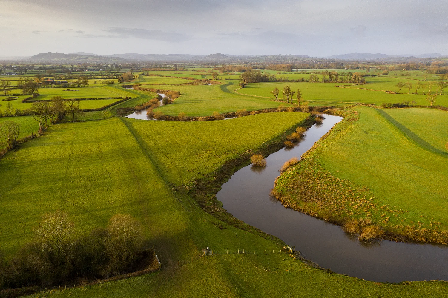 drone-image-3.jpg