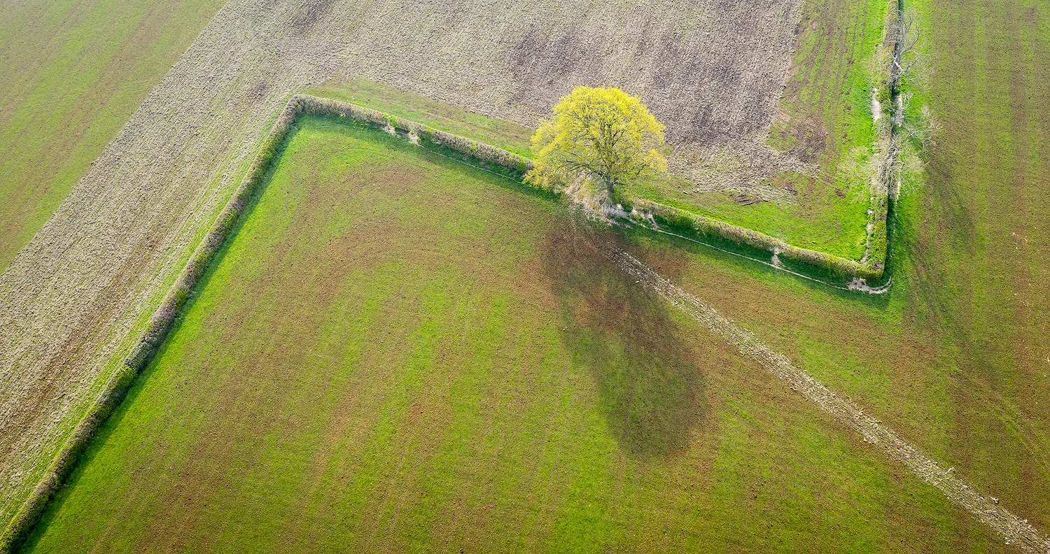 drone-image-4.jpg