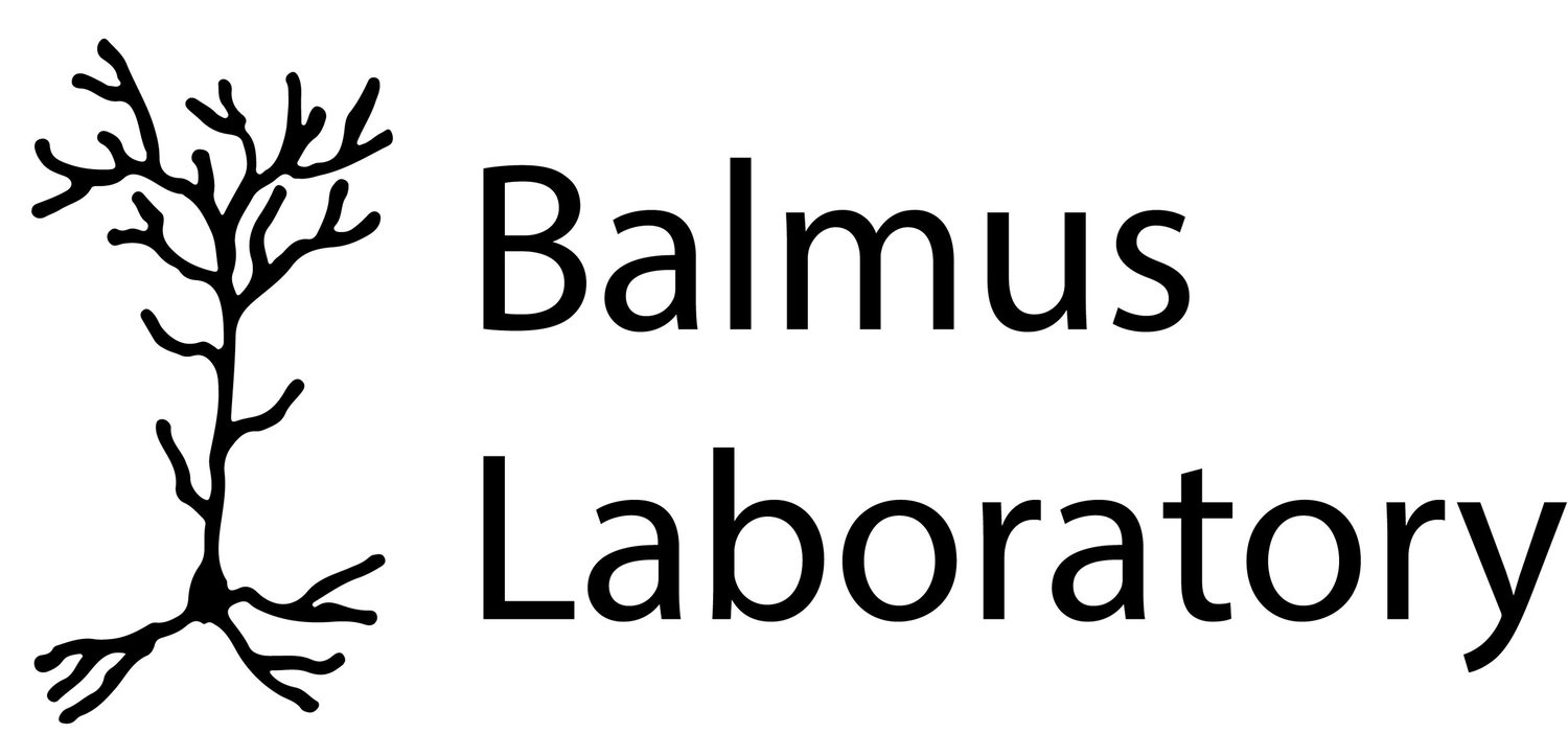 Balmus Laboratory