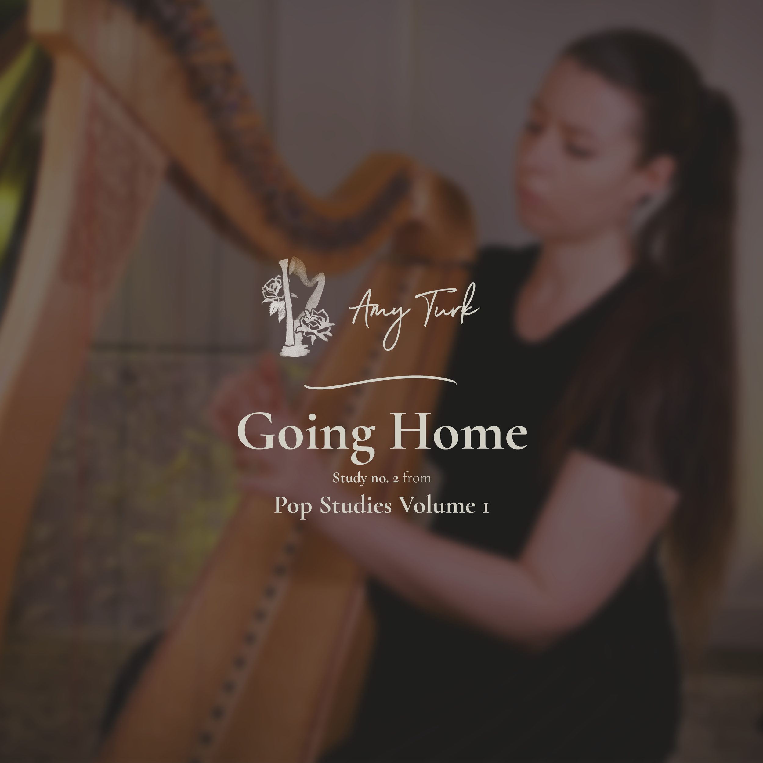 Study no. 2 - "Going Home" (from Pop Studies Volume 1)
