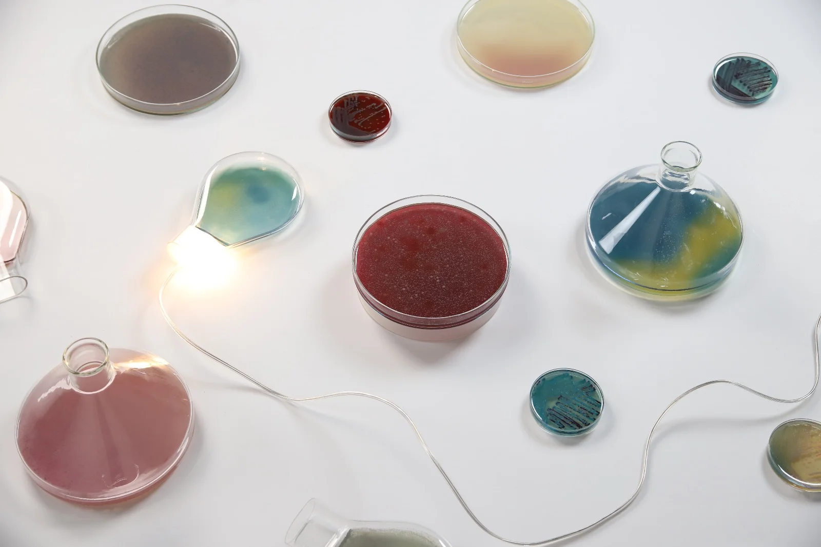 What if we could enable others to see bacteria as a carrier of meaning, rather than a carrier of disease?