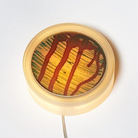 This bacteria wall lamp, previously exhibited @designmuseum in London as a &sbquo;Design of the year 2019&lsquo; can now be yours! 
Available for purchase through the prestigious @stockholmsauktionsverk (online.auktionsverket.com) until tonight (08/2