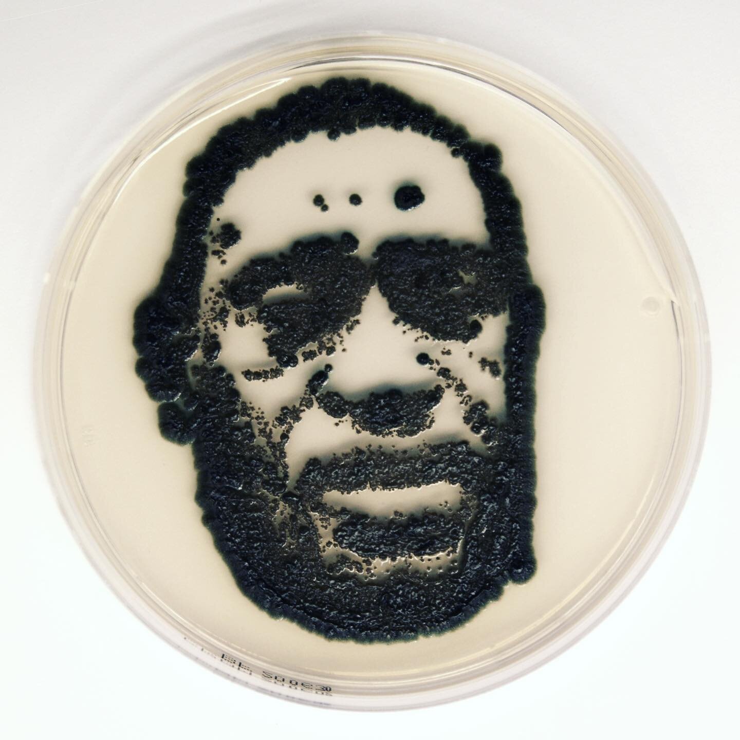 I can’t breathe
The very last words spoken by George Floyd and so many others before him have become one slogan of the black lives matter movement.
This portrait consists of the bacteria strain Exophiala.
Implicated in causing hypersensitivi