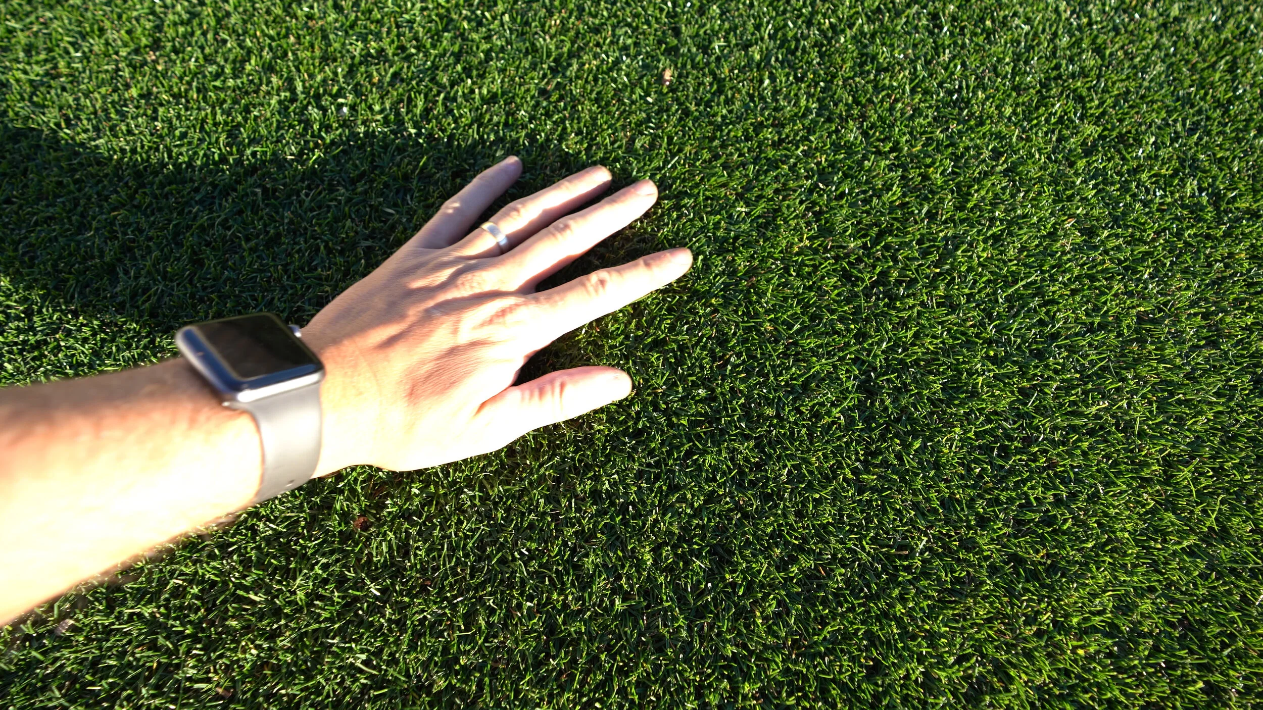 Soil Amendments Lawn Tips