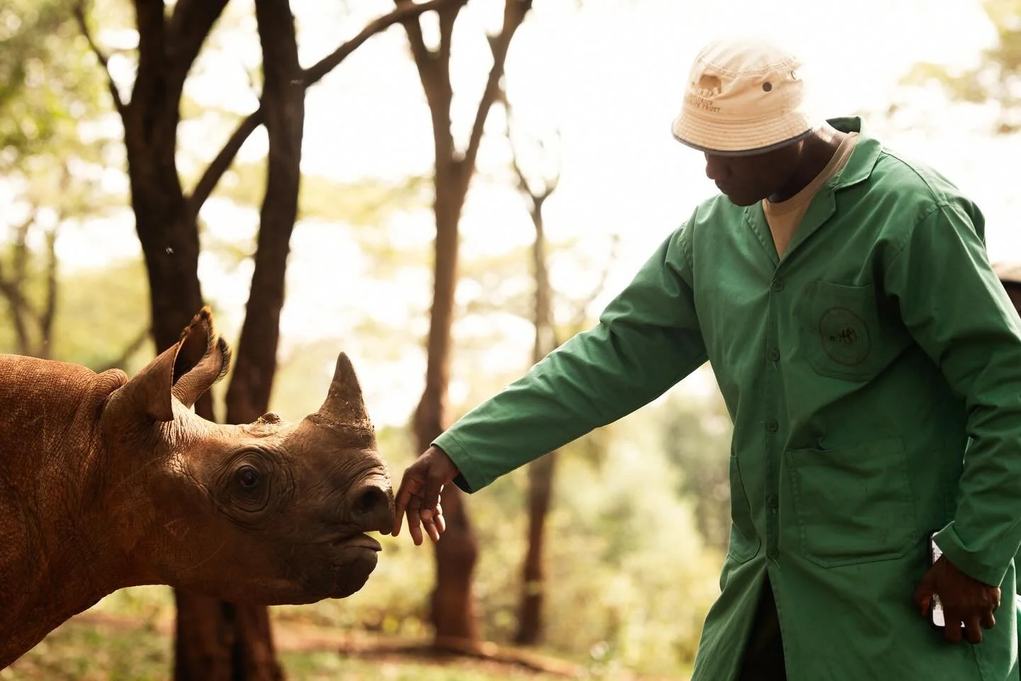 Sheldrick Wildlife Trust &bull; For the second time, I had the opportunity to photograph for the Sheldrick Wildlife Trust, an experience that is truly beyond words. The work being done here is exceptional and invaluable, and being able to witness and