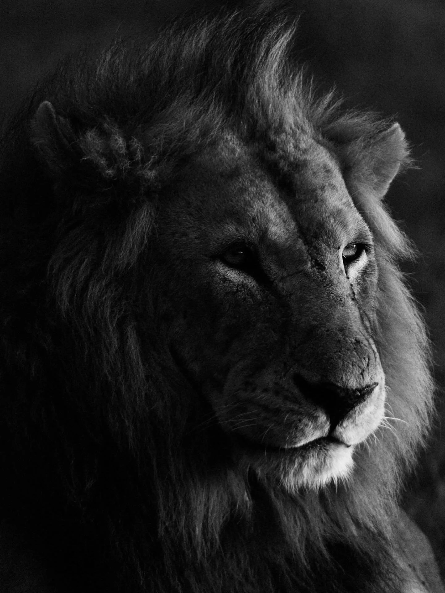 April 15

Exactly 10 years ago, I registered at the Chamber of Commerce.
A date that has always remained special and carries even more meaning this year.

On April 15, I will be launching my prints.
Something I have been working towards for a long ti