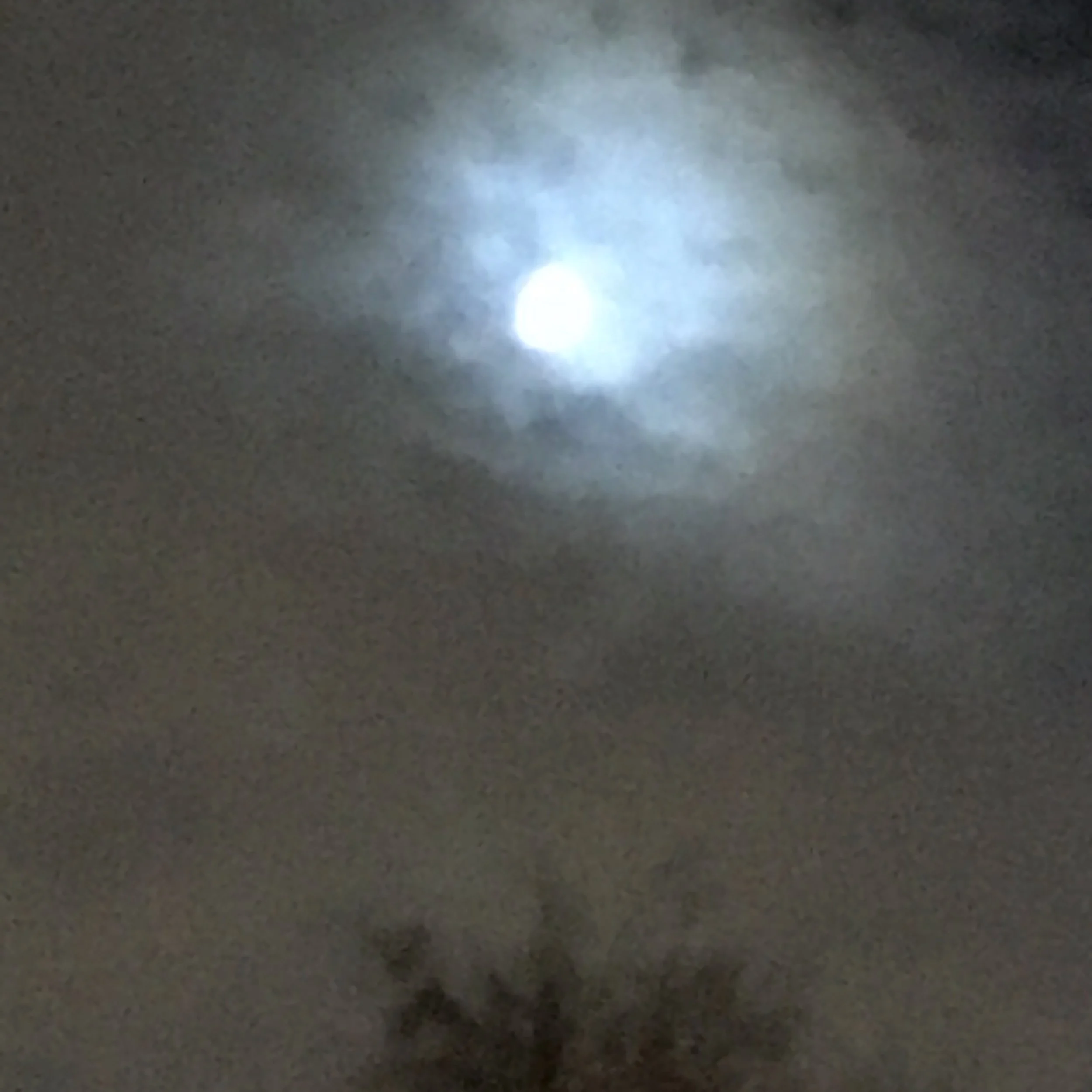  Lune no.2…05_11_2019…19:09:39 