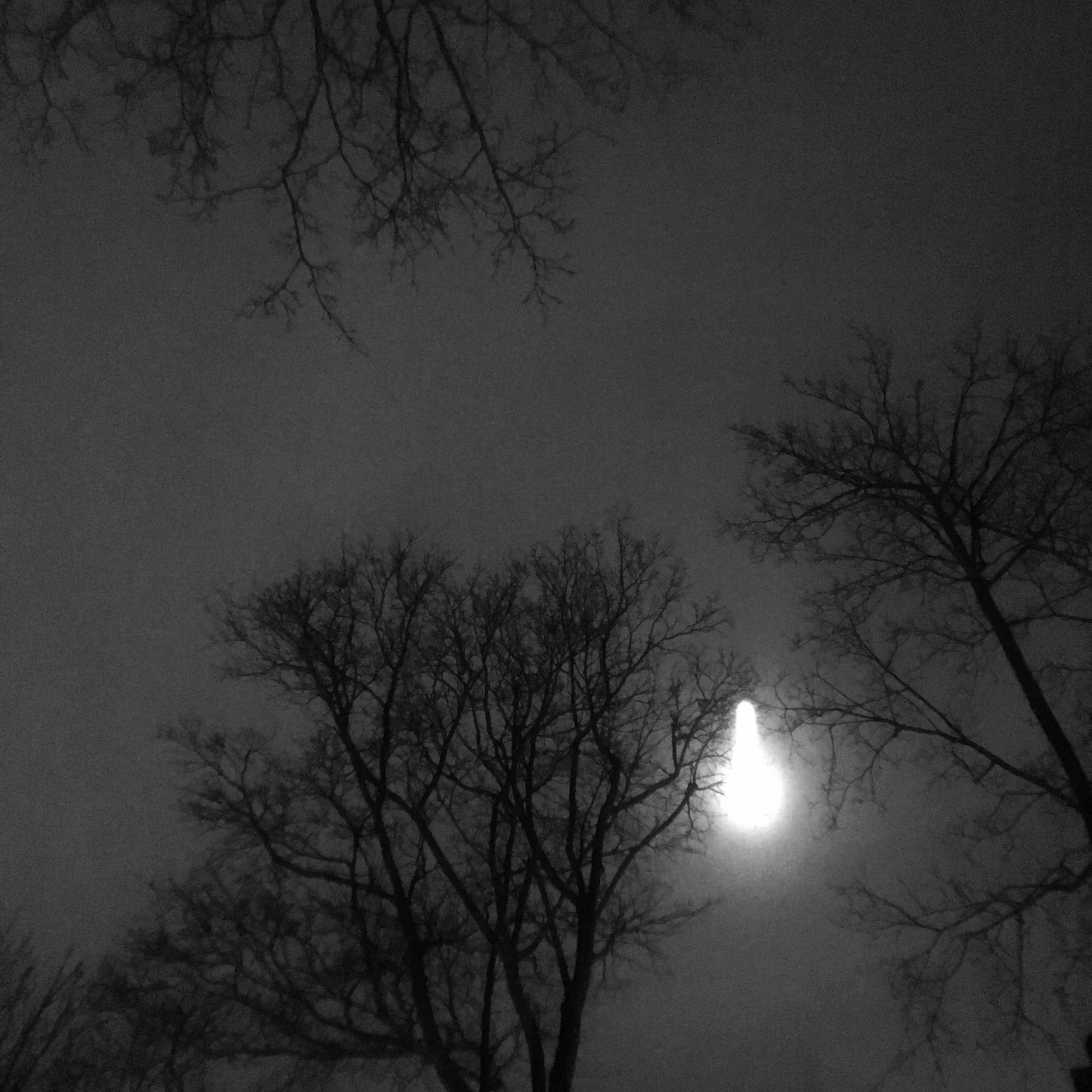  Lune no.14…15_03_2022…20:05:48 