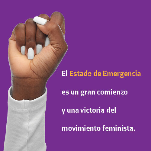 ¡Se aprobó el Estado de Emergencia por violencia de género! 