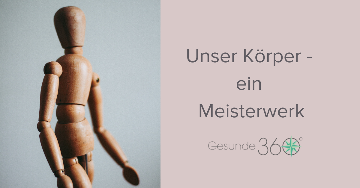 Unser Körper - ein wahres Meisterwerk
