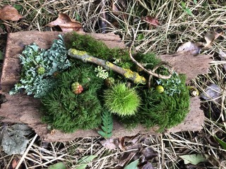 Forest Bits.jpeg