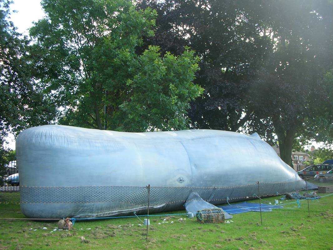 Whale 2.jpg