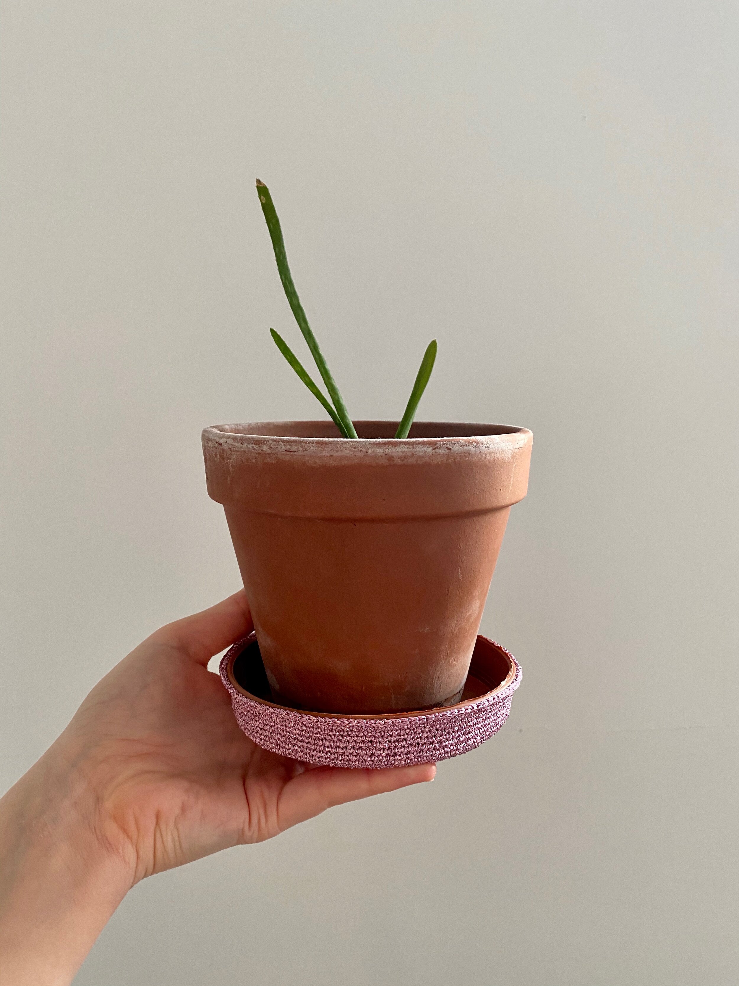  Crochet plant pot jazz 