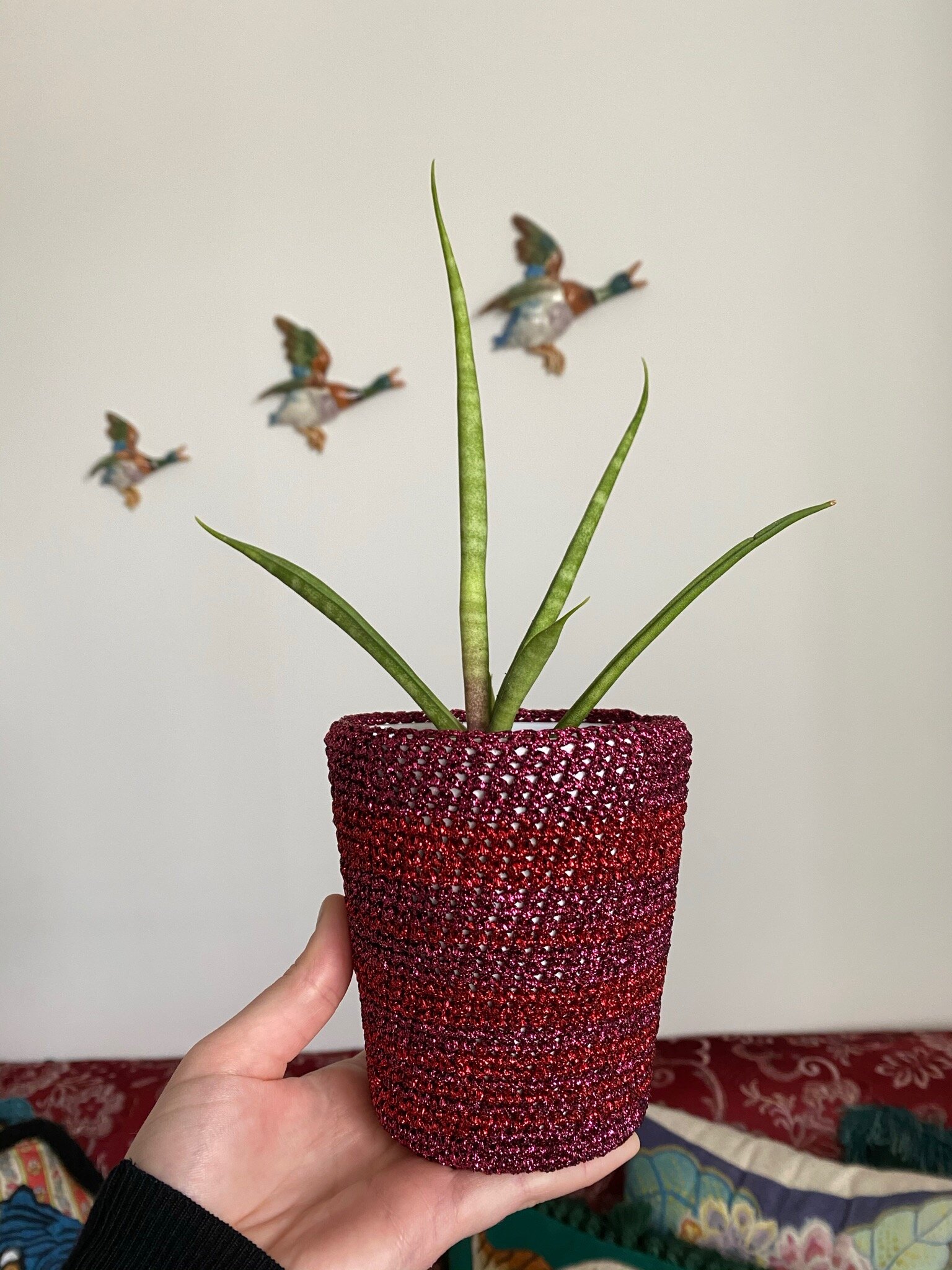  Two tone crochet plant pot cover  